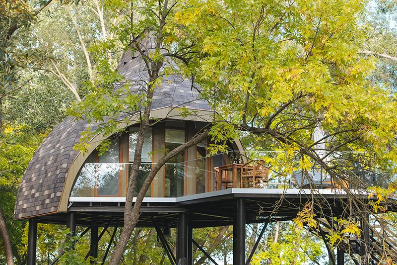 Tree house 4