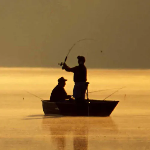 Fishing